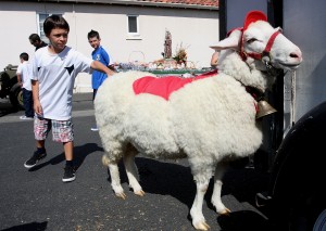 St. Anthony Festa